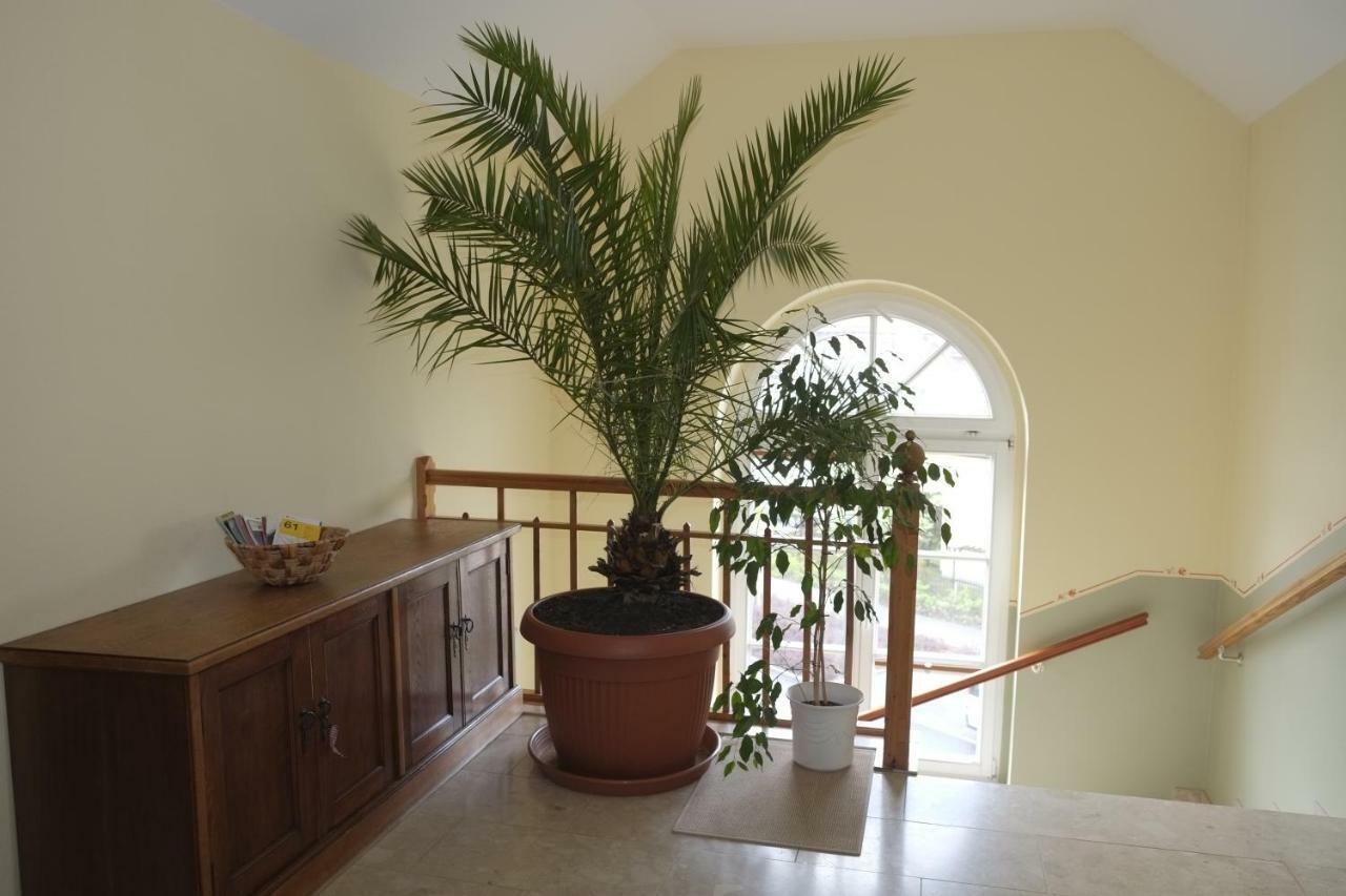 Gaestewohnung Elstroem Dresda Esterno foto